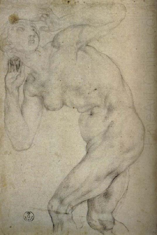 Eve were driven out of, Pontormo