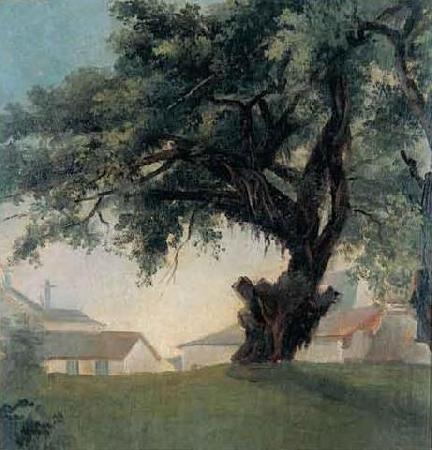Giant tree and barracks, Anonymous