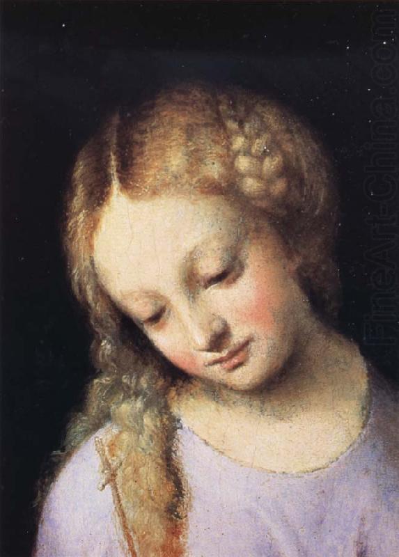 Details of Madonna and Child with the Young Saint John, Correggio