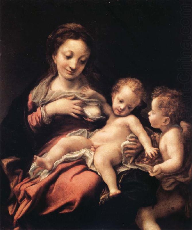 Madonna del Latte, Correggio