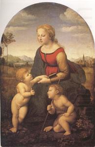 La Belle Jandiniere (mk05), Raphael