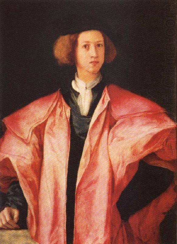 Portrait of a young Man, Pontormo