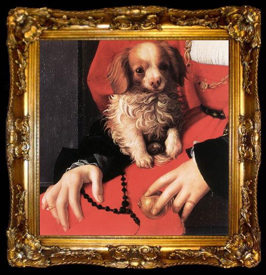 framed  BRONZINO, Agnolo Portrait of a Lady with a Puppy (detail) fg, ta009-2
