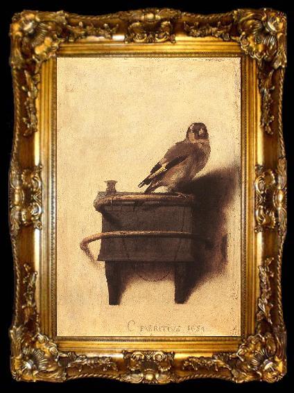 framed  FABRITIUS, Carel The Goldfinch dfgh, ta009-2