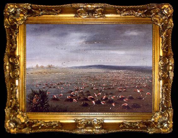 framed  George Catlin Ambush for Flamingoes, ta009-2