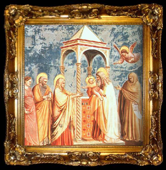 framed  Giotto Scenes from the Life of the Virgin, ta009-2