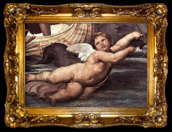 framed  RAFFAELLO Sanzio The Triumph of Galatea (detail), ta009-2