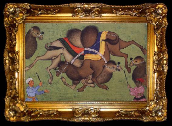 framed  unknow artist Fighting camels, ta009-2