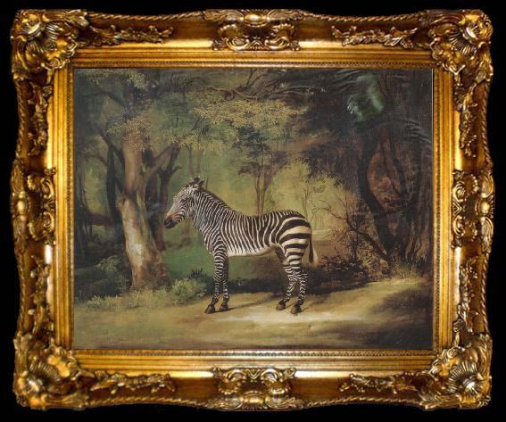 framed  George Stubbs Horse, ta009-2