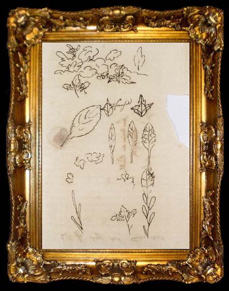 framed  Johann Wolfgang von Goethe Leaf shapes, ta009-2
