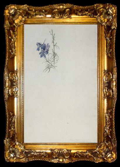 framed  Julius Schnorr von Carolsfeld Study of Larkspur, ta009-2