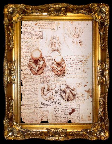framed  LEONARDO da Vinci The Fotus in the Uterus, ta009-2