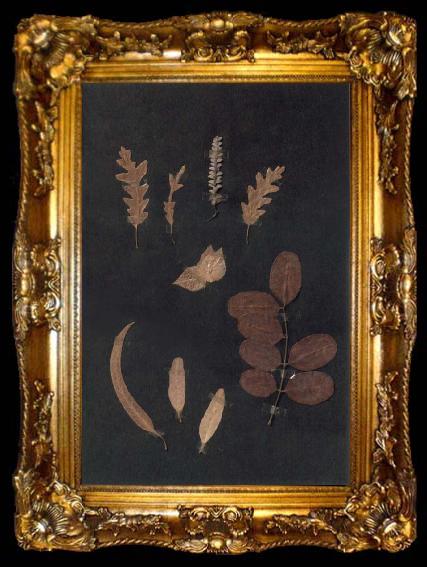 framed  Paul Klee Herbarium, ta009-2