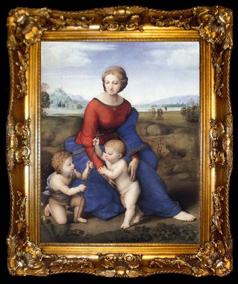 framed  Raphael The Madonna in the Meadow, ta009-2