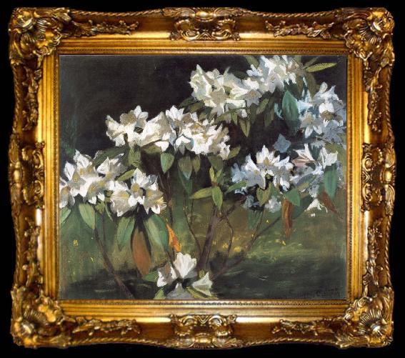 framed  William Stott of Oldham White Rhododendrons, ta009-2