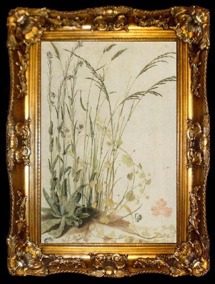 framed  unknow artist Grasses, ta009-2