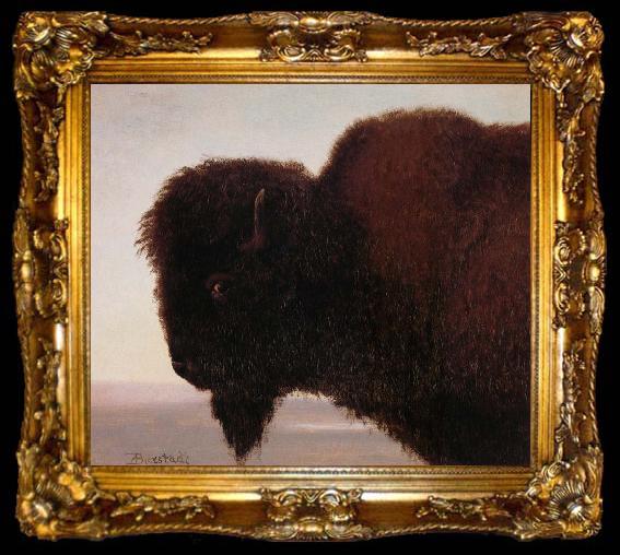 framed  Albert Bierstadt Buffalo Head, ta009-2