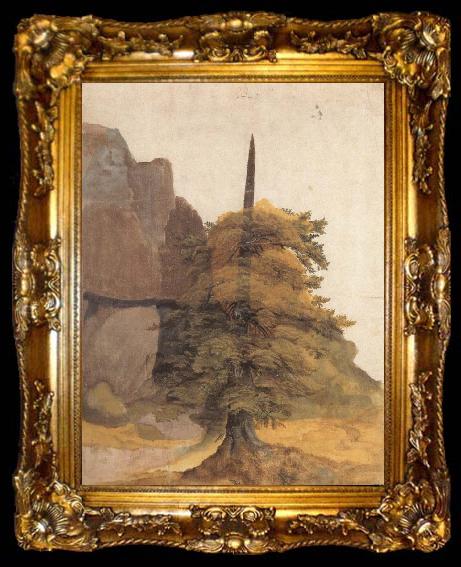 framed  Albrecht Durer A Tree in a Quarry, ta009-2