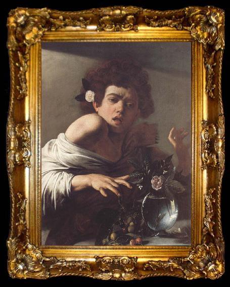framed  Caravaggio Boy Bitten by a Lizard, ta009-2