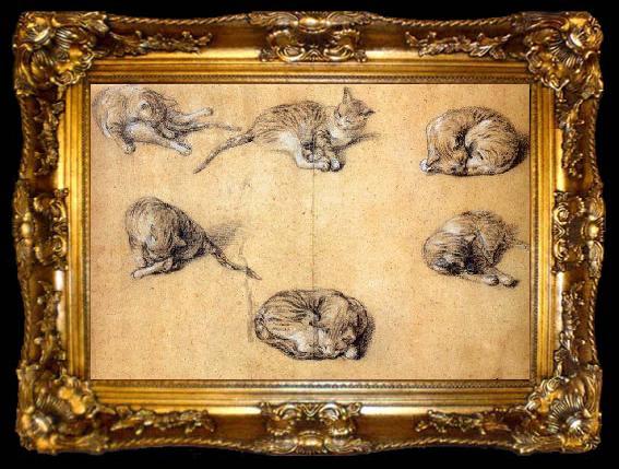 framed  GAINSBOROUGH, Thomas Six studies of a cat, ta009-2