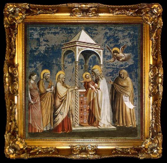 framed  GIOTTO di Bondone Presentation of Christ at the Temple, ta009-2