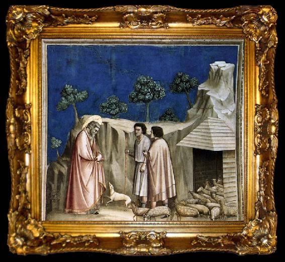 framed  GIOTTO di Bondone Joachim among the Shepherds, ta009-2