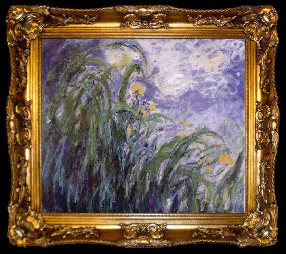 framed  Claude Monet Yellow Irises, ta009-2