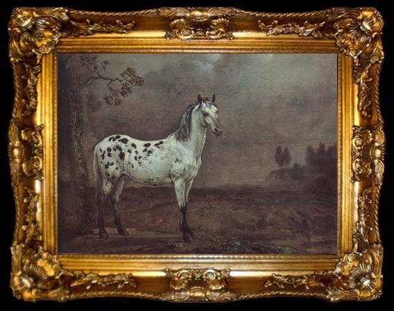 framed  POTTER, Paulus A geschecktes horse, ta009-2