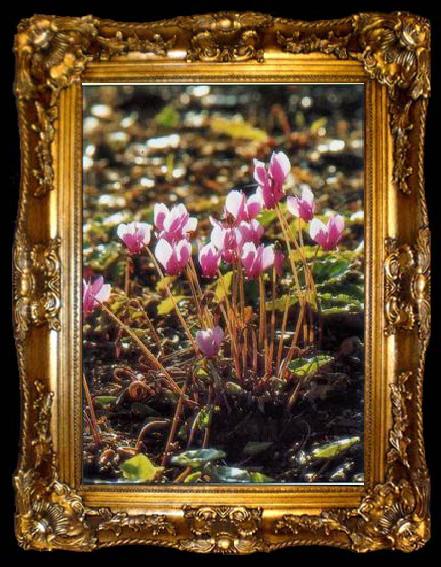 framed  unknow artist Still life floral, all kinds of reality flowers oil painting  95, ta009-2