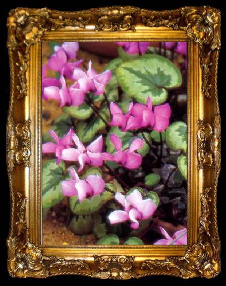 framed  unknow artist Still life floral, all kinds of reality flowers oil painting  94, ta009-2