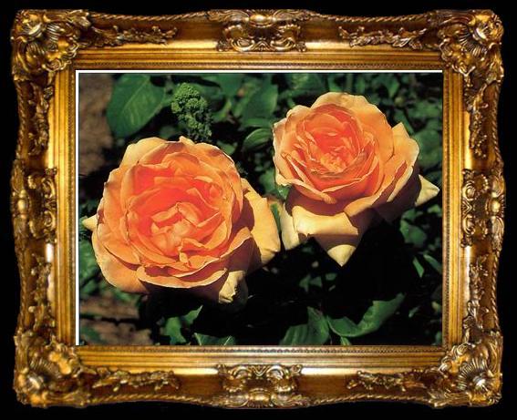framed  unknow artist Still life floral, all kinds of reality flowers oil painting  277, ta009-2