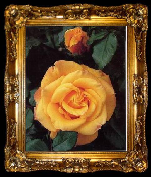 framed  unknow artist Still life floral, all kinds of reality flowers oil painting  104, ta009-2