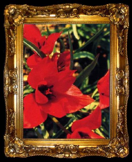framed  unknow artist Still life floral, all kinds of reality flowers oil painting  98, ta009-2
