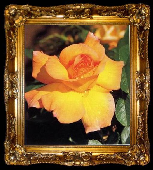 framed  unknow artist Still life floral, all kinds of reality flowers oil painting  349, ta009-2
