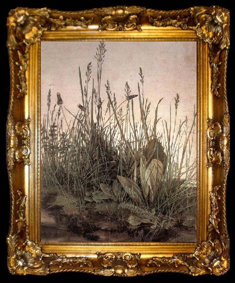 framed  Albrecht Durer The Large Turf, ta009-2