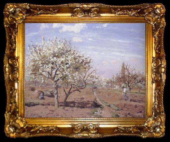 framed  Camille Pissarro Flowering frukttradgard Louveciennes, ta009-2