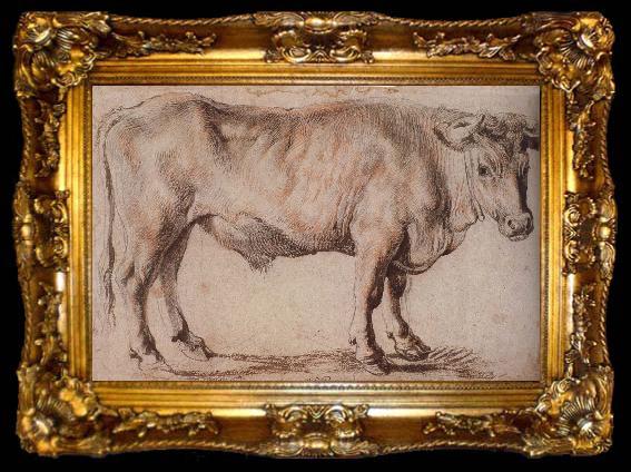 framed  Peter Paul Rubens Bull, ta009-2