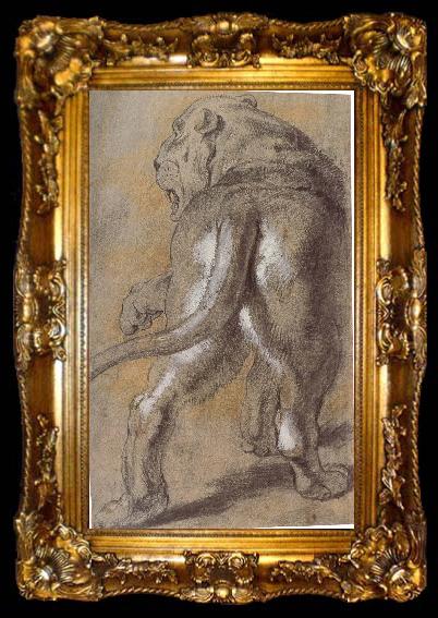 framed  Peter Paul Rubens Lion, ta009-2