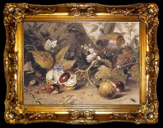 framed  Elizabeth Byrne Still-life with horse chestnuts and insects (mk47), ta009-2