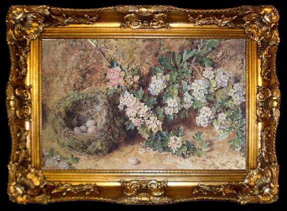 framed  William Henry Hunt,OWS Chaffinch Nest and  May Blossom (mk46), ta009-2