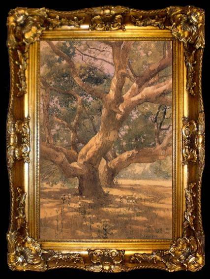 framed  unknow artist Oaks and Shadows, ta009-2