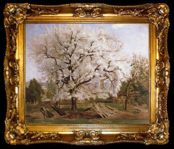 framed  Carl Fredrik Hill apple tree in blossom, ta009-2