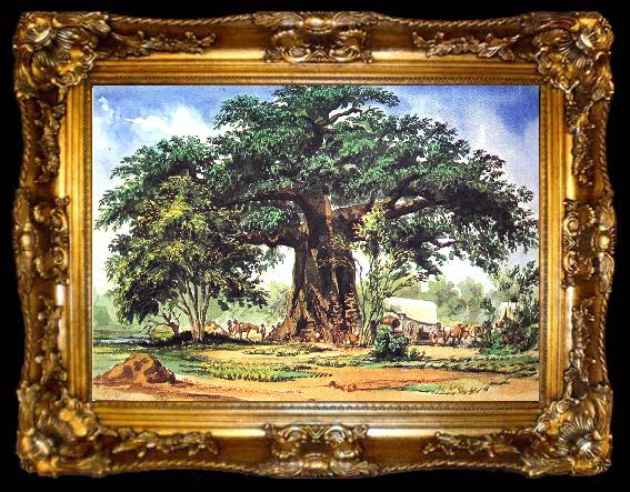 framed  Thomas Baines Baobab Tree, ta009-2