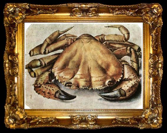 framed  Albrecht Durer Lobster 1495 Watercolour and gouache, ta009-2