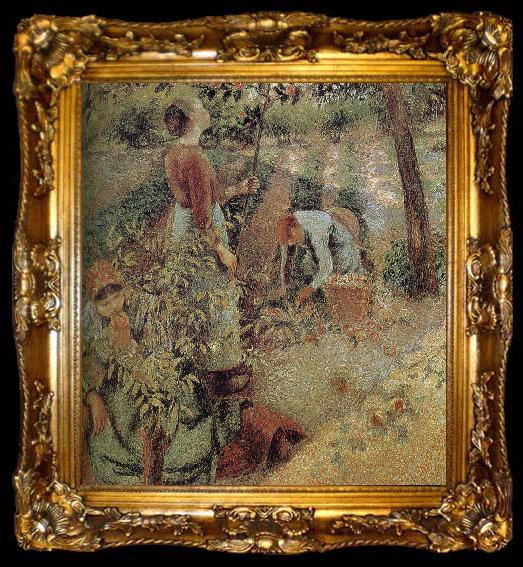 framed  Camille Pissarro woman picking apples, ta009-2