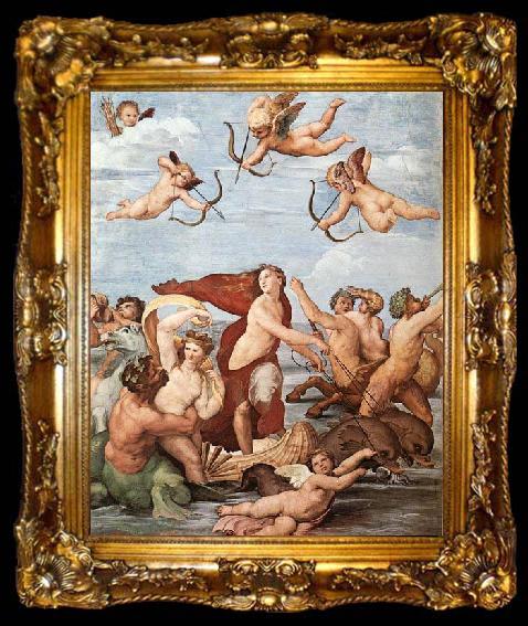 framed  RAFFAELLO Sanzio The Triumph of Galatea, ta009-2