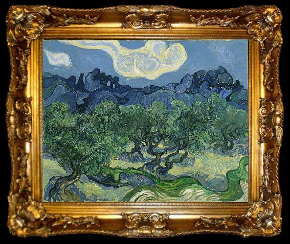 framed  Vincent Van Gogh The Olive Trees, ta009-2