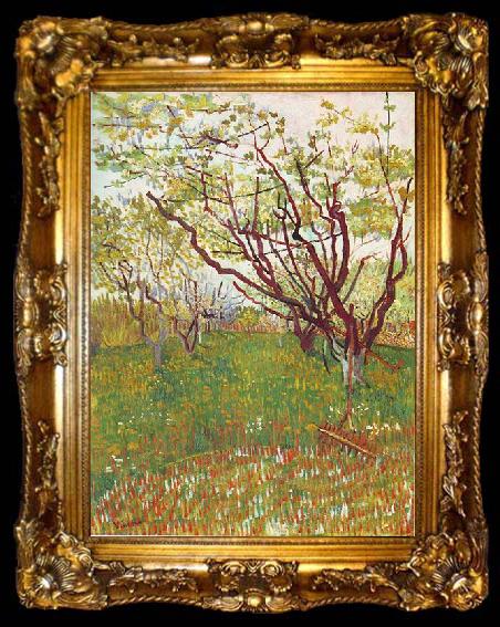 framed  Vincent Van Gogh Cherry Tree, ta009-2