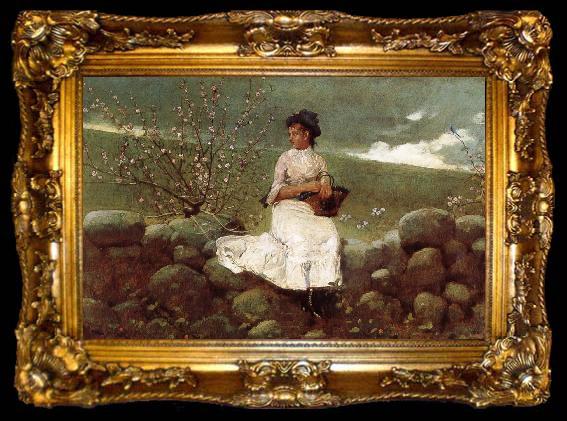 framed  Winslow Homer Peach bloom, ta009-2