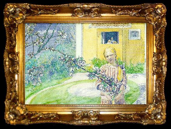 framed  Carl Larsson appelblom-flicka vid appelblom, ta009-2